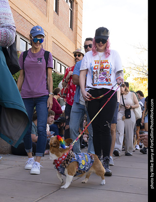  Tour de Corgi 2025 - The Tour