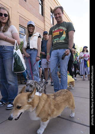 Tour de Corgi 2025 - The Tour