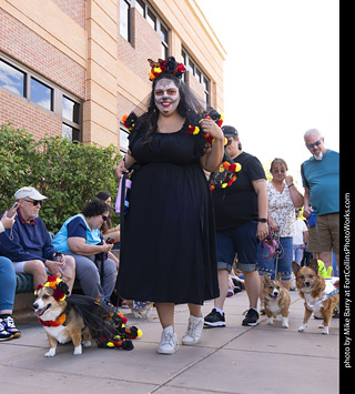  Tour de Corgi 2025 - The Tour