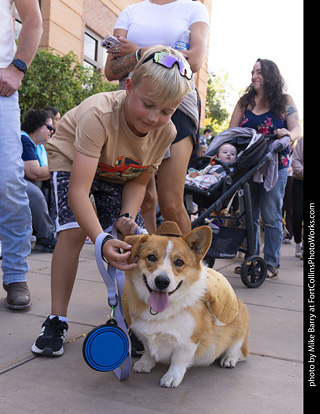  Tour de Corgi 2025 - The Tour