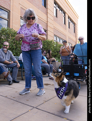  Tour de Corgi 2025 - The Tour