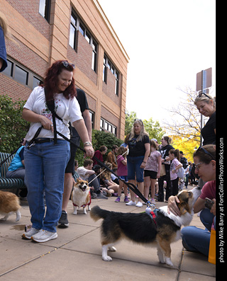  Tour de Corgi 2025 - The Tour