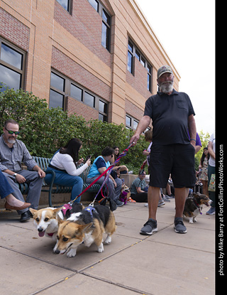  Tour de Corgi 2025 - The Tour
