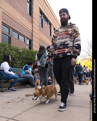  Tour de Corgi 2025 - The Tour