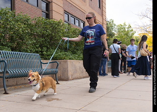  Tour de Corgi 2025 - The Tour