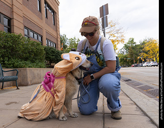  Tour de Corgi 2025 - The Tour