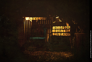 Creepy Walk in the Woods 2025